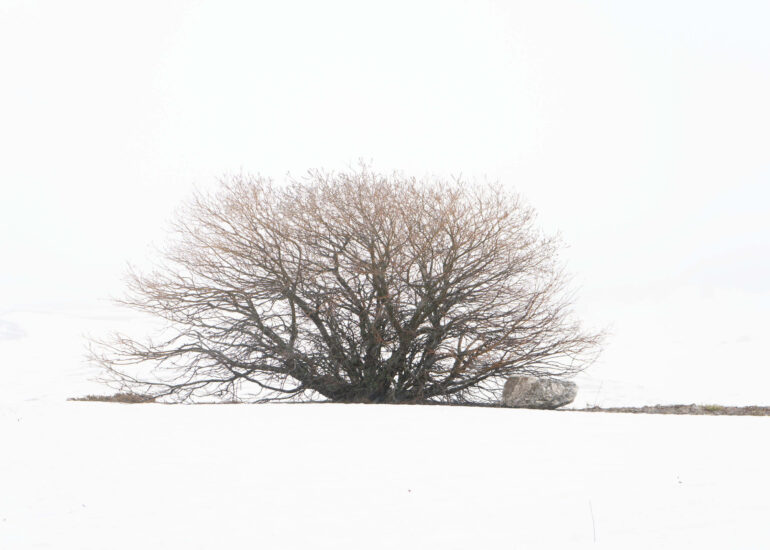 Padroni della nebbia