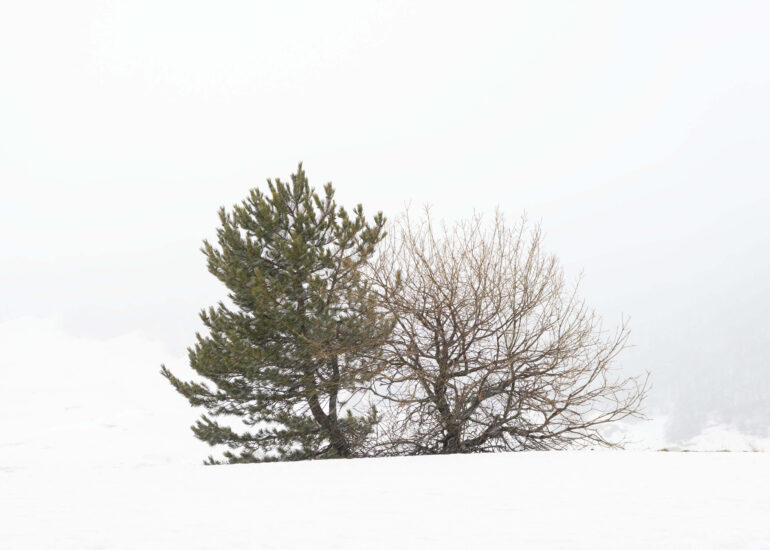 Padroni della nebbia