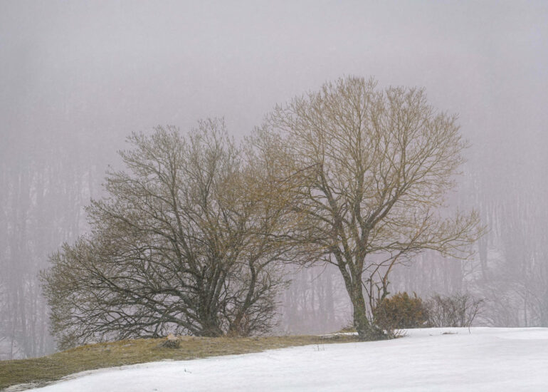 Padroni della nebbia